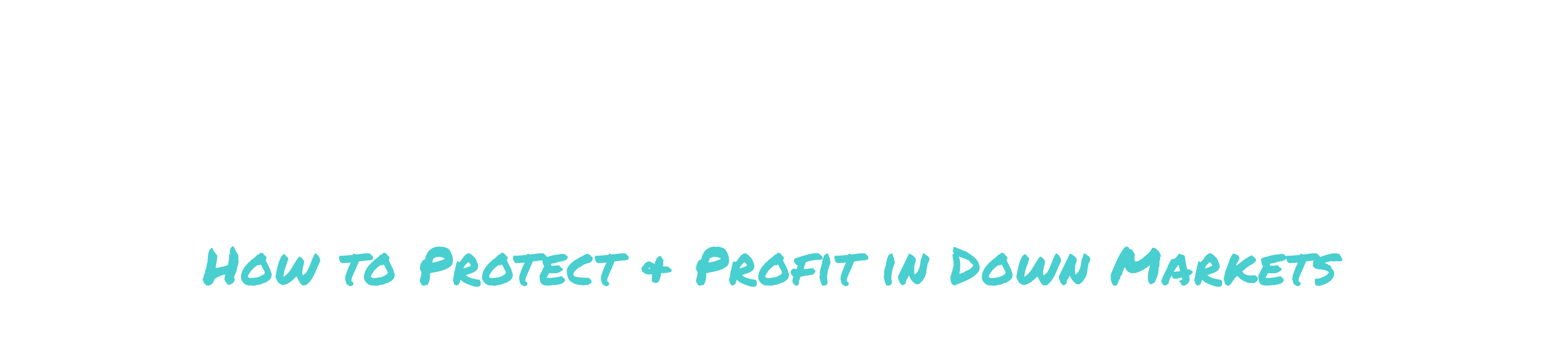How to Protect & Profit in Down Markets: Value $95