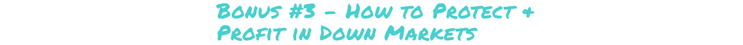 Bonus #3 - How to Protect & Profit in Down Markets