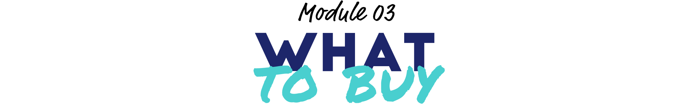 Module 03: What to Buy