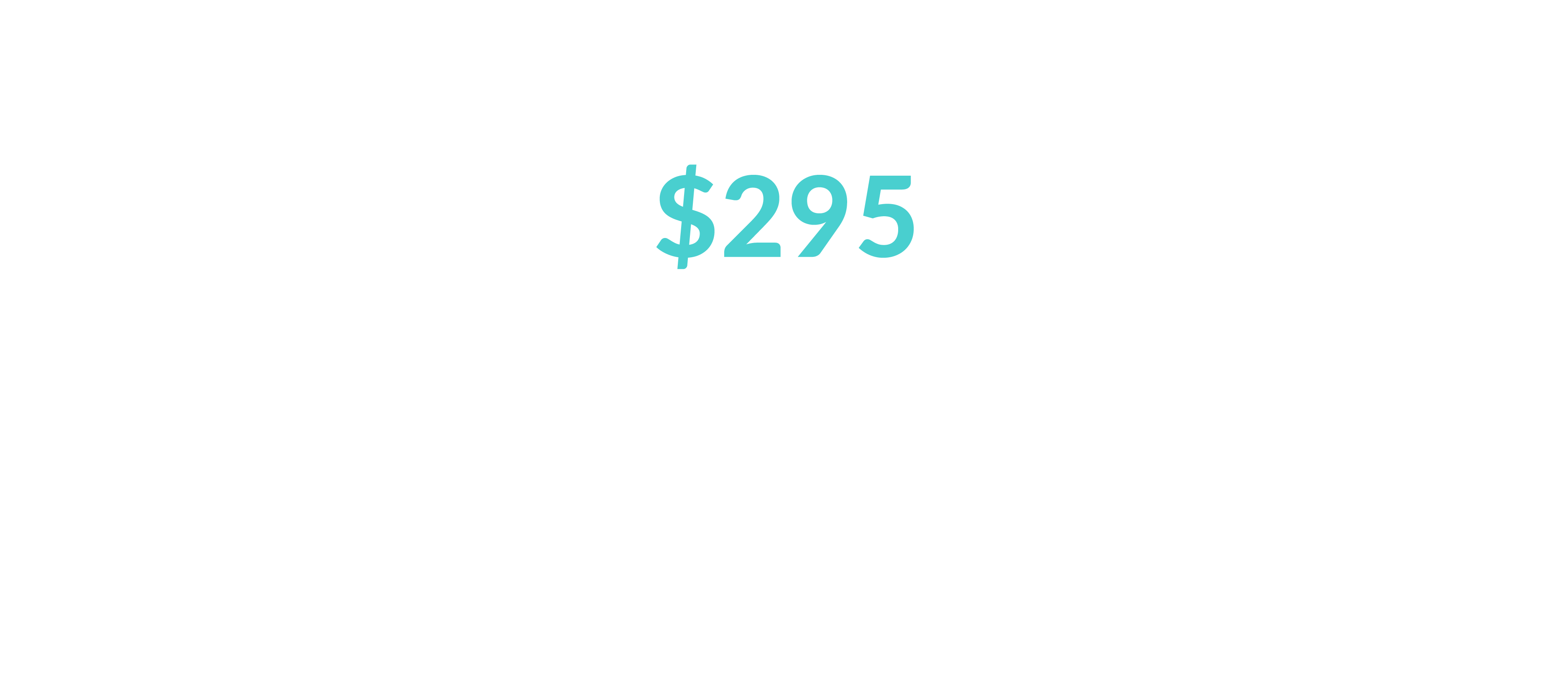 One-Time Payment of $295 (value $1,434)