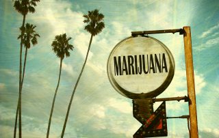 Marijuana Shop Sign