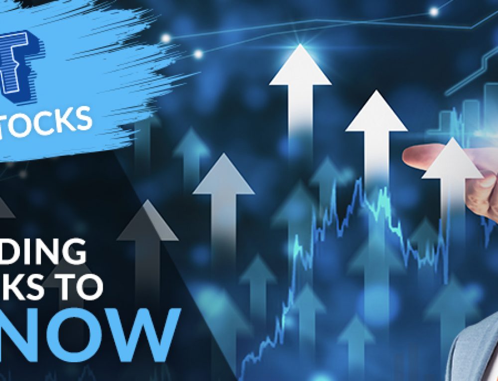 10 Hot Stocks to Buy in August VectorVest