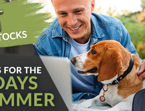 Hot Stocks for the Dog Days of Summer |