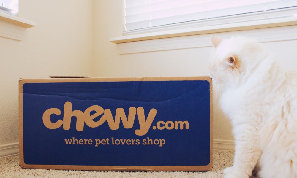 Chewy Misses on Revenue, Surprises on Earnings: 3 Things Investors Need to Know as the Stock Falls
